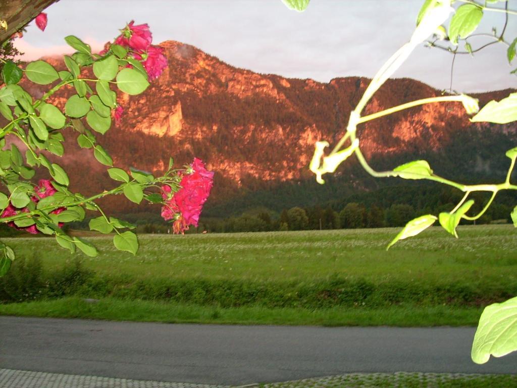 Gaestehaus Barbara Schwaiger Inzell Exterior foto
